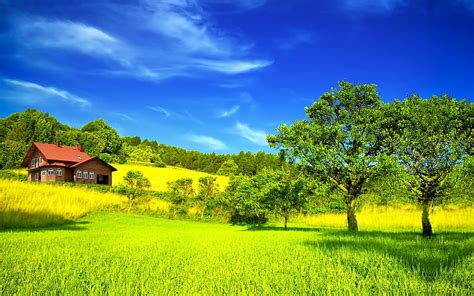 Peaceful Place Architecture Pretty Colorful House Summer Time