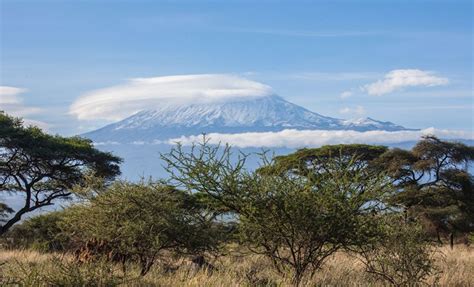 Kilimanjaro_from_Amboseli_National_Park | Classical Movements