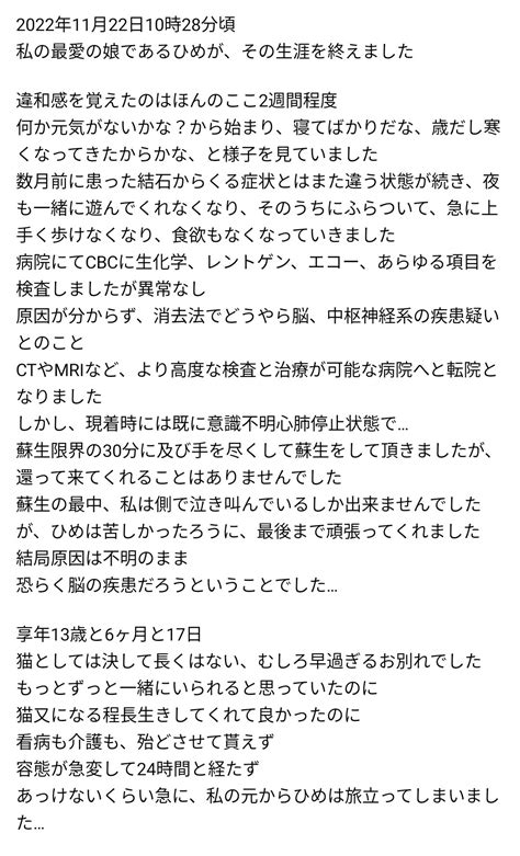 にあnia（lalasweet撮影会有難う御座いました♥） On Twitter ご報告になります 返信に続きます T