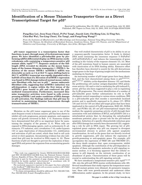 PDF Identification Of A Mouse Thiamine Transporter Gene As A Direct