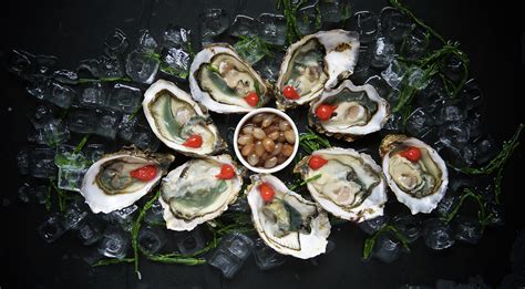 Free Images Open White Ice Dish Meal Food Oyster Seafood