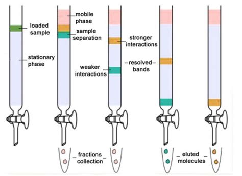 Purification Of Organic Compounds Chemistry Class 11 Organic