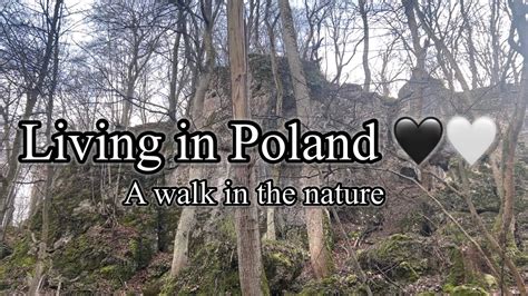 4K Daily Poland A Walk In The Nature Krakow Krakow Vlog Krakow