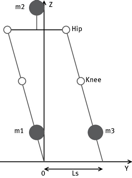 Illustration of movement in the frontal plane. | Download Scientific Diagram