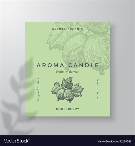 Aroma Candle Label Template Gooseberry Royalty Free Vector