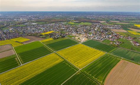 Hamm aus der Vogelperspektive Feld Landschaft gelb blühender Raps