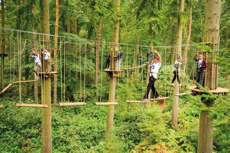 Go Ape Coming To Jefferson Memorial Forest