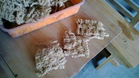 3 : Raw coconut fibre obtained from mattress waste | Download ...