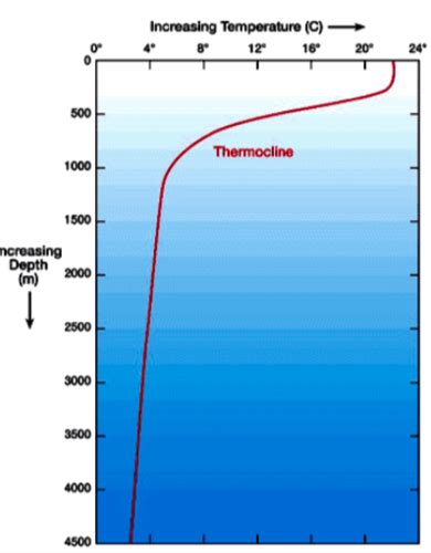 Oceanography Chapter Flashcards Quizlet