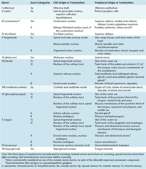 Cranial Nerves and Their Nuclei | Neupsy Key