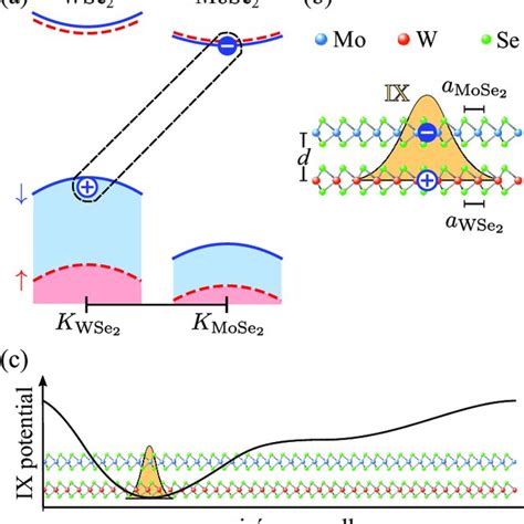 Photon Absorption Processes For Moir Localized Interlayer Excitons In