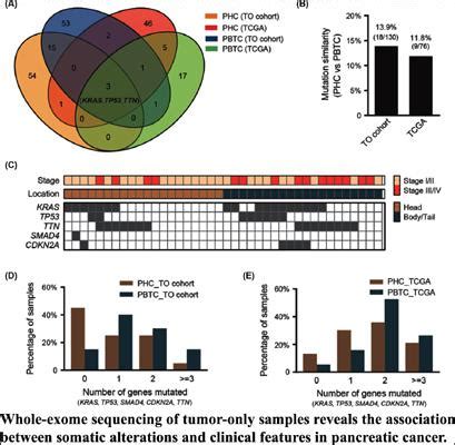 Whole Exome Sequencing Of Tumor Only Samples Reveals The Association