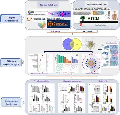 Frontiers Integrative Network Pharmacology And Experimental