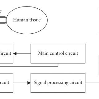 Basic Principle Diagram Of The B Mode Ultrasound Imaging Instrument