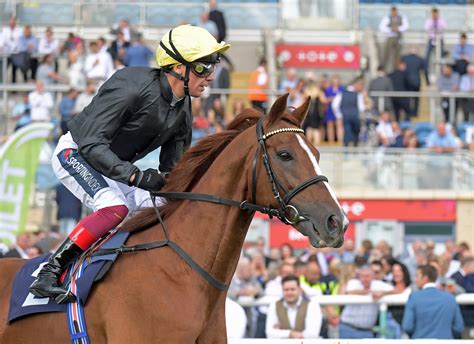 Stradivarius Ready For Yorkshire Farewell
