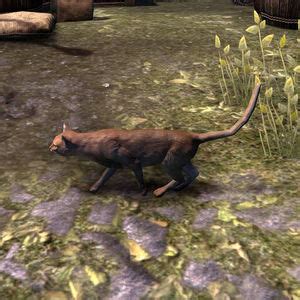 Online:Murk - The Unofficial Elder Scrolls Pages (UESP)