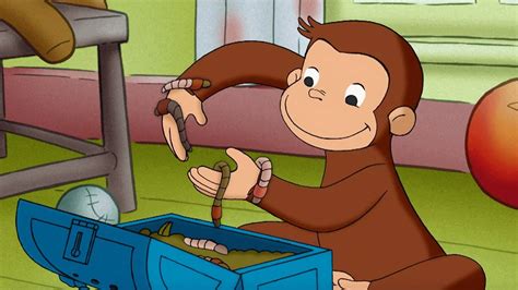 Curioso Come George Febbre Da Vermi Cartoni Per Bambini Youtube