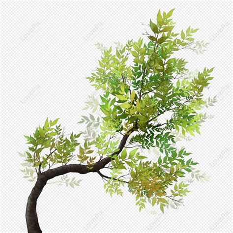 Tree Branch Tree Branch Autumn Png Picture And Clipart Image For