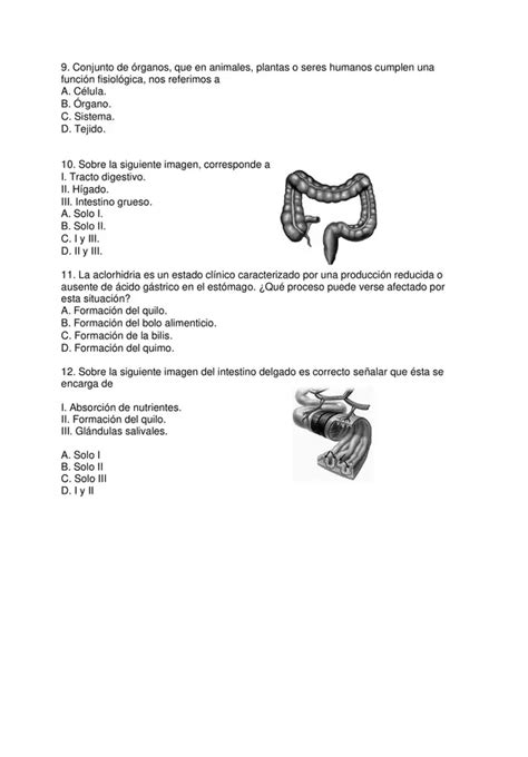 Prueba Diagnostico Ciencias Naturales Sexto Basico Con Soluciones