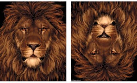 Fantasy Art Of Illusion: Amazing Lion and mouse Optical Illusion