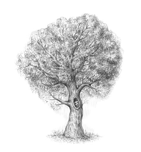 How To Draw A Tree