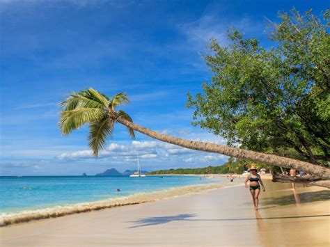 Plus Belles Plages De Martinique Notre Top Miss Wanderlust