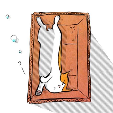 【とにかく最高ニャ】猫はなぜ“アレ”に惹かれるのか？ニャンコがひと夏を過ごしたお気に入り Peachy ライブドアニュース