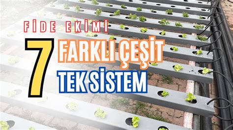 Açık Alanda Topraksız Tarım 7 Farklı Çeşit Fide Ekimi Çılgın Topraksız