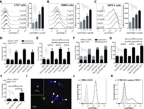 Functional Characterization Of Can Ige L Dose Dependent Binding Of