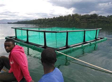 Fish Cage Aquaculture Farming