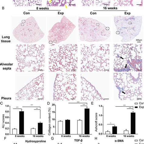 ScRNA Seq Of Mouse Whole Lung Cells In Response To Sub Chronic PM