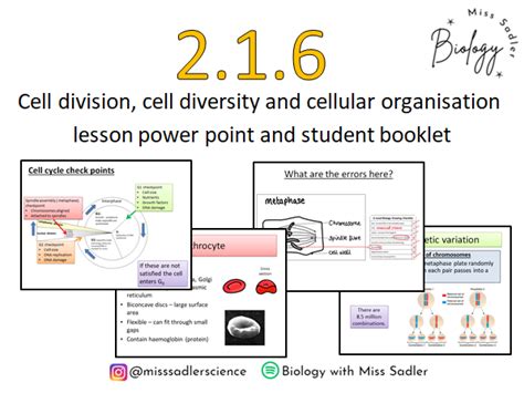 OCR Biology A Level 2 1 6 Cell Division Diversity And Cellular