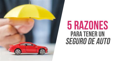 Razones Para Tener Un Seguro De Auto