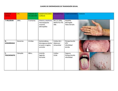 Cuadro Comparativo Sobre Ets Cuadro De Enfermedades De TransmisiÓn