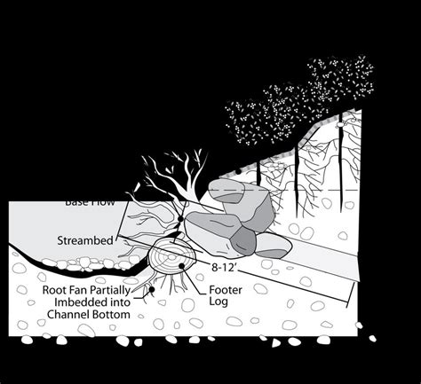 Log Anchor Root Wad Revetment Adapted With Permission From Eubanks And Download Scientific