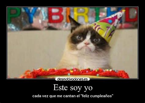 Feliz cumpleaños gato enojado - Imagui
