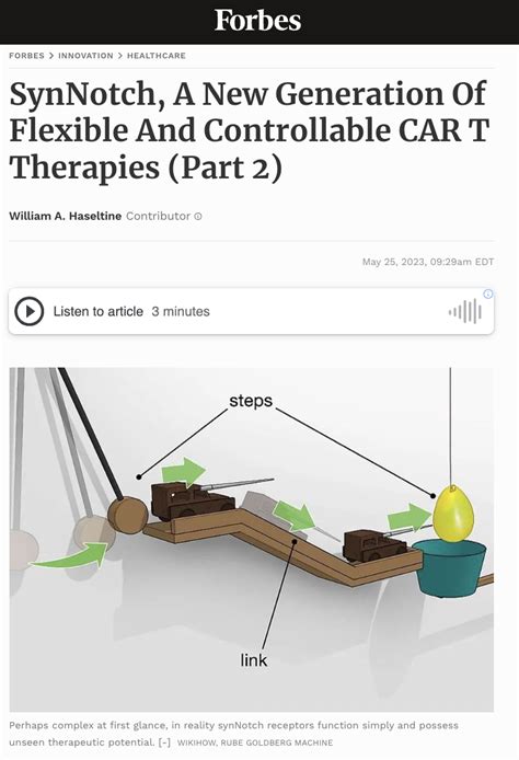 Synnotch A New Generation Of Flexible And Controllable Car T Therapies