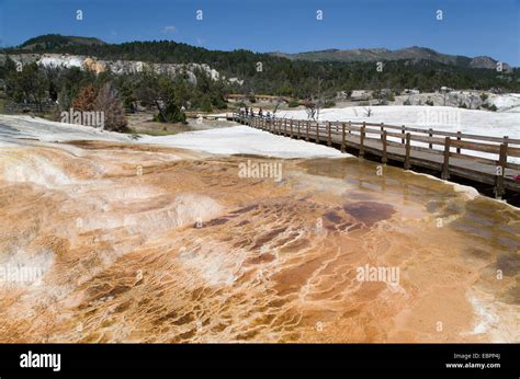 Mammoth Hot Springs Yellowstone National Park UNESCO World Heritage Site Wyoming United