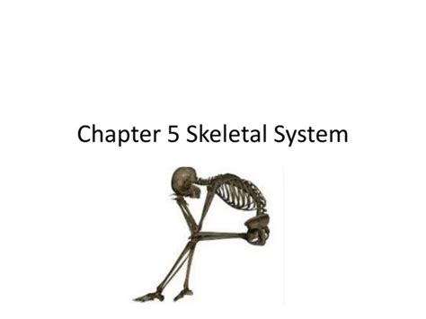 Ppt Chapter 6 Skeletal System Powerpoint Presentation Free Download