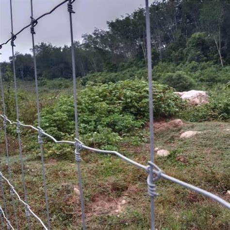 Pagar Cyclone Kaki Tinggi Kambing Rusa Kebun Lembu Siklon Griblock