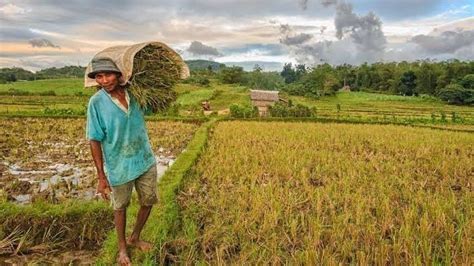 Petition · Save the Filipino Farmers - Philippines · Change.org