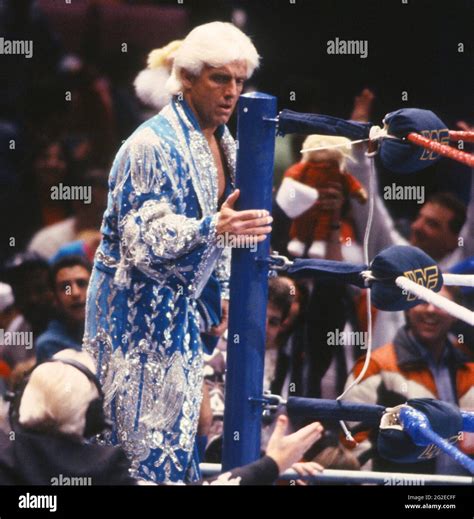 Ric Flair 1988 Photo By John Barrettphotolink Stock Photo Alamy