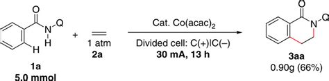 Large Scale Synthesis Gram Scale Reaction With Ethylene Under Download Scientific Diagram