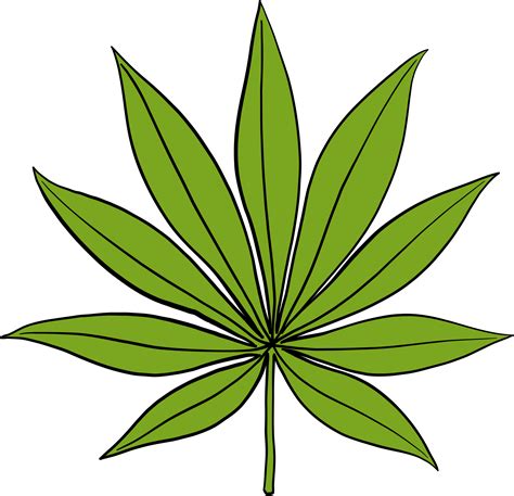 Simplicity cannabis leaf freehand drawing 32987534 PNG