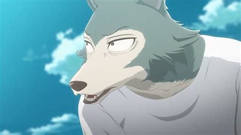 Legosi From Beastars Anime Furry Art Manga Anime