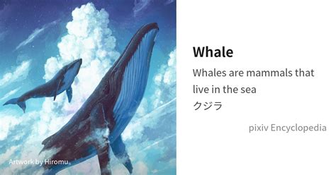 Whale Is Pixiv Encyclopedia