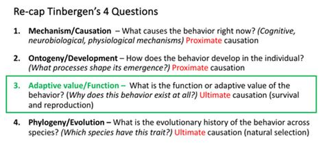 Lecture Five Learning Continued Flashcards Quizlet