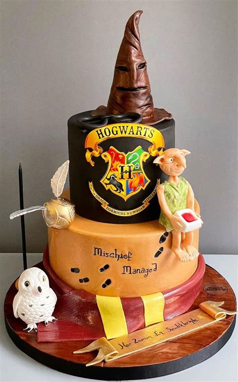 Best Harry Potter Cakes In Hogwarts Sorting Hat Dobby