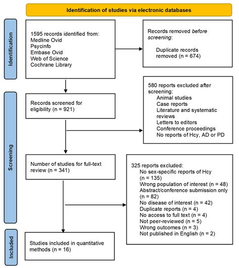 Brain Sciences Free Full Text Sex Differences In The Level Of