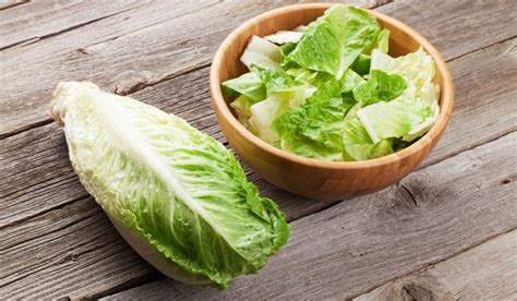 Conoce Tu Ensalada Cinco Tipos De Lechuga Para Hacerla Deliciosa